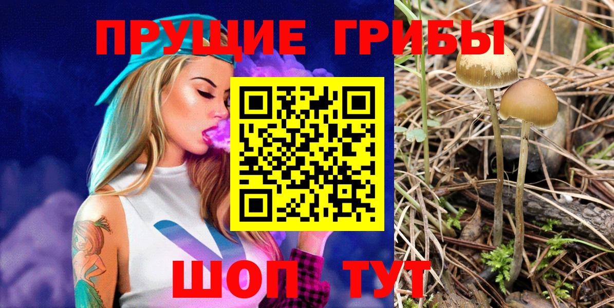 Галлюциногенные грибы мицелий  Галлюциногенные грибы ЛСД  Вход с VPN  Сальск 